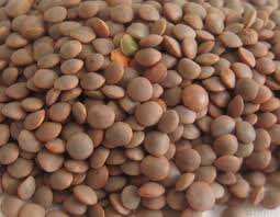 Masoor Pulses